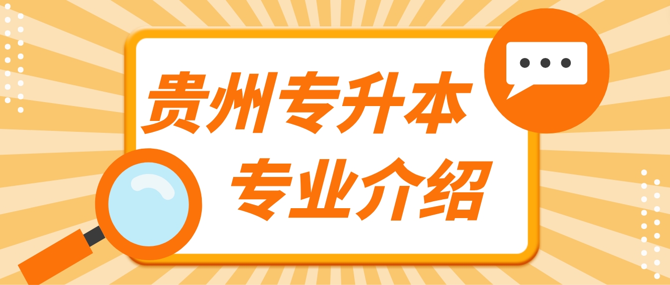 2024年贵州专升本安顺学院专升本英语专业简介